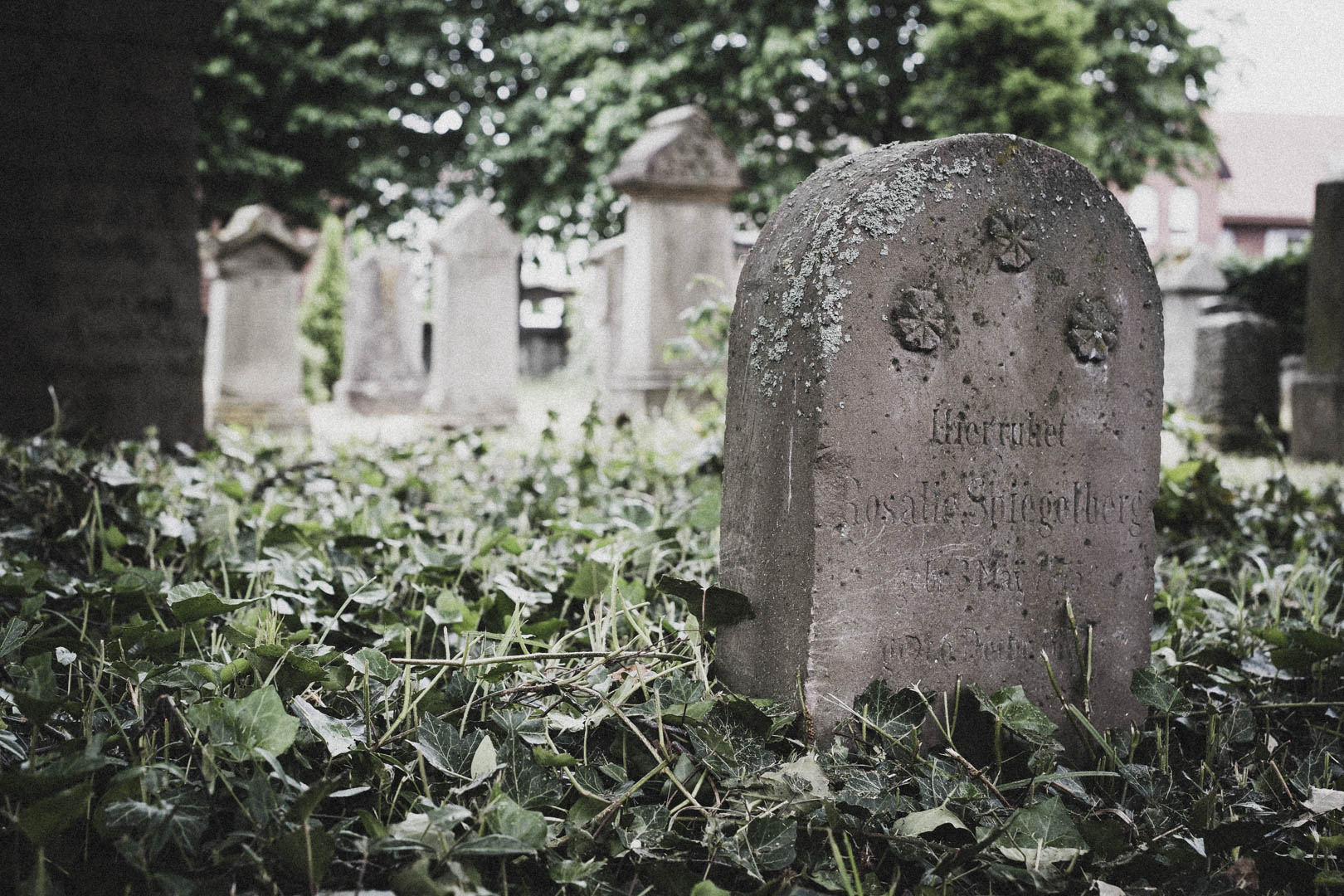Salzkotten, Jüdischer Friedhof